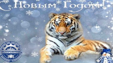 Поздравление Первичной профсоюзной организации ОАО «МЗШ» с Рождеством и Новым годом.