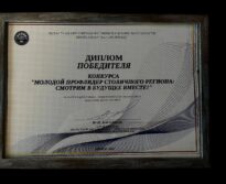 «Молодой профлидер столичного региона»